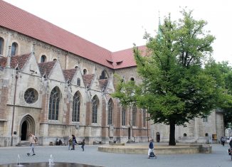 Die Heinrichslinde auf dem Domplatz. Foto: meyermedia