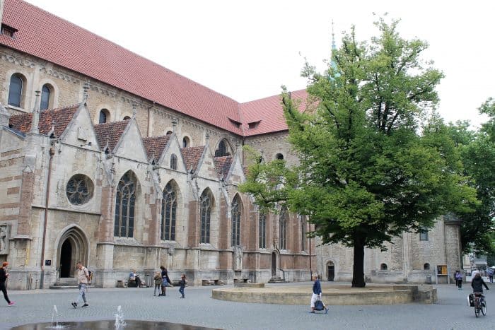 Die Heinrichslinde auf dem Domplatz. Foto: meyermedia