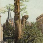 Alte Postkarte mit derr Heinrichslinde (in der Mitte um 1830 abgerissene Stiftsgebäude). Foto: Archiv Ostwald