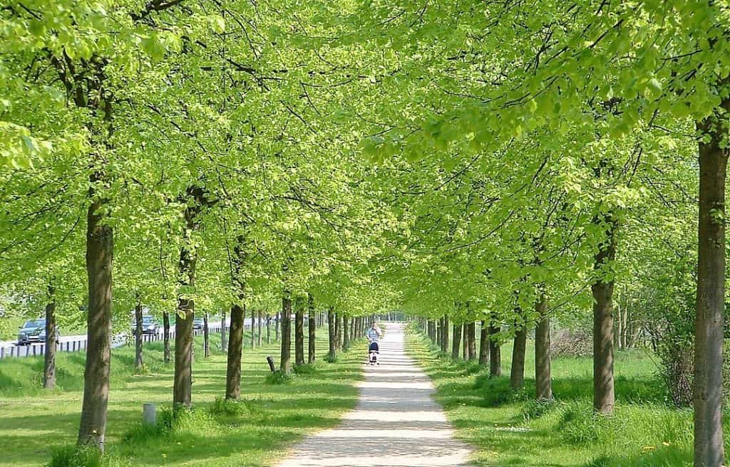 Der Westpark als Jahrhun­dert­pro­jekt