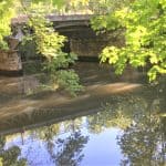 Die Aufleger stammen aus dem Jahr 1820. Foto: Der Löwe