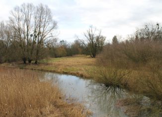 Blick auf die begradigte Schunter Richtung Westen. Foto: Der Löwe