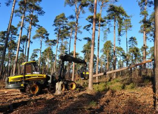 Harvester bei der Holzernte. Foto: SBK / Andres Greiner-Napp