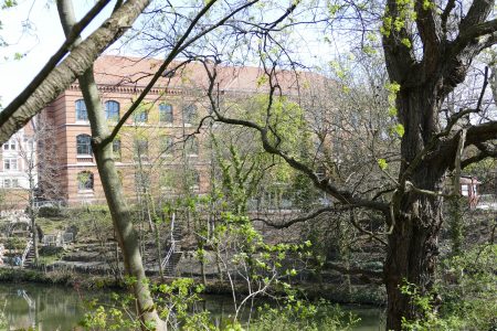 Das Wilhelm-Gymnasium vom Löwenwall aus fotografiert. Foto: Der Löwe