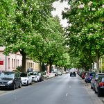 Kastanienallee, stadteinwärts. Foto: Andreas Greiner-Napp