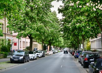 Kastanienallee, stadteinwärts. Foto: Andreas Greiner-Napp