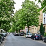 Kastanienallee, stadtauswärts. Foto: Andreas Greiner-Napp