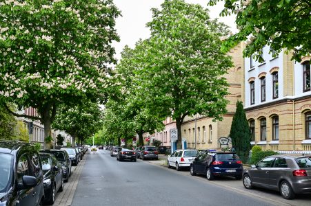 Kastanienallee, stadtauswärts. Foto: Andreas Greiner-Napp