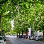 Georg-Westermann-Allee. Foto: Andreas Greiner-Napp