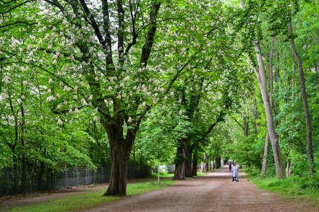 Weg „An der Matthüskirche“. Foto: Andreas Greiner-Napp