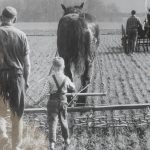 Die beschwerliche Feldarbeit früher Generationen wird anhand einer Reihe von Fotos veranschaulicht. Foto: Der Löwe