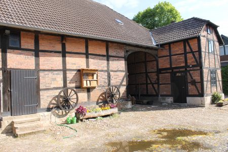 Der Hof. Foto: Der Löwe