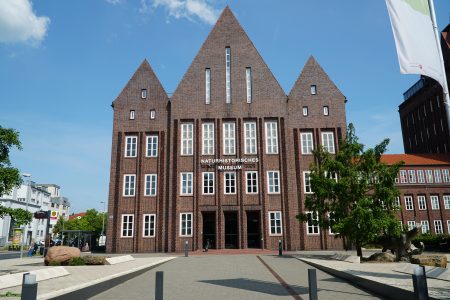 Das Museum an der Pockelsstraße. Foto: SNM