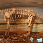 Der Dinosauriersaal. Foto: SNM