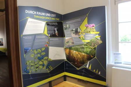 Moderne Informationstafeln führen Besucherinnen und Besucher in die Themen des Welterbes ein. Foto: Stiftung UNESCO-Welterbe im Harz