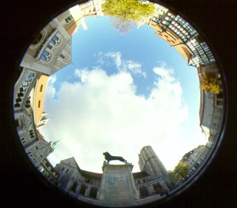 Eine besondere Aufnahme: alles auf einen Blick. Foto: IBR