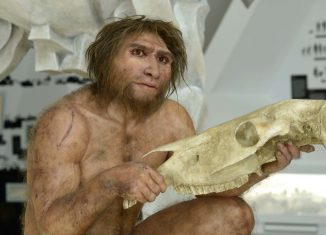 Figur des Homo heidelbergensis. Foto: Forschungsmuseum Schöningen