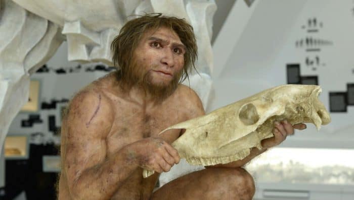 Figur des Homo heidelbergensis. Foto: Forschungsmuseum Schöningen