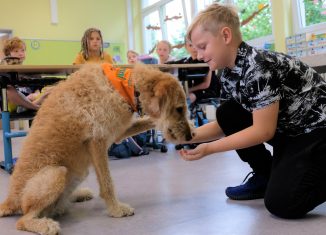 Penni gibt Pfötchen. Foto: Kroschke Kinderstiftung