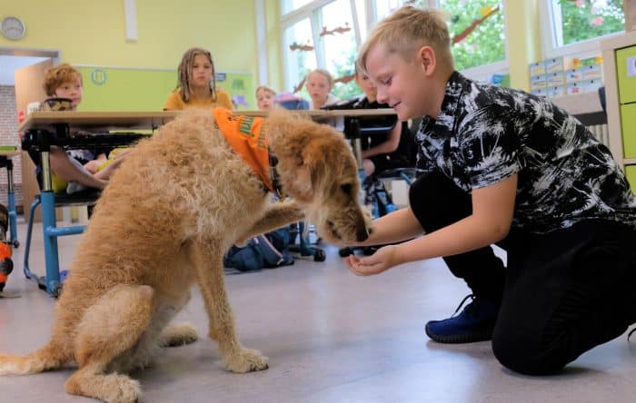 Penni gibt Pfötchen. Foto: Kroschke Kinderstiftung