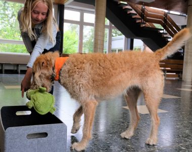 Penni räumt auf. Foto: Kroschke Kinderstiftung