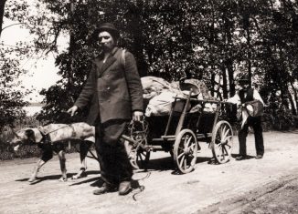 Hausierer mit Hundegespann. Das Foto von Heinrich Zille trägt den Titel „Ungewohnter Blick auf Gewohntes“. Foto: gemeinfrei