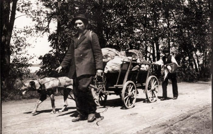 Hausierer mit Hundegespann. Das Foto von Heinrich Zille trägt den Titel „Ungewohnter Blick auf Gewohntes“. Foto: gemeinfrei