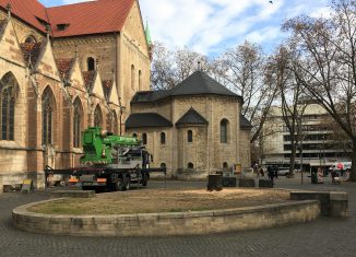 Ungewohnter Anblick: Domplatz ohne „Heinrichslinde“. Foto: Der Löwe