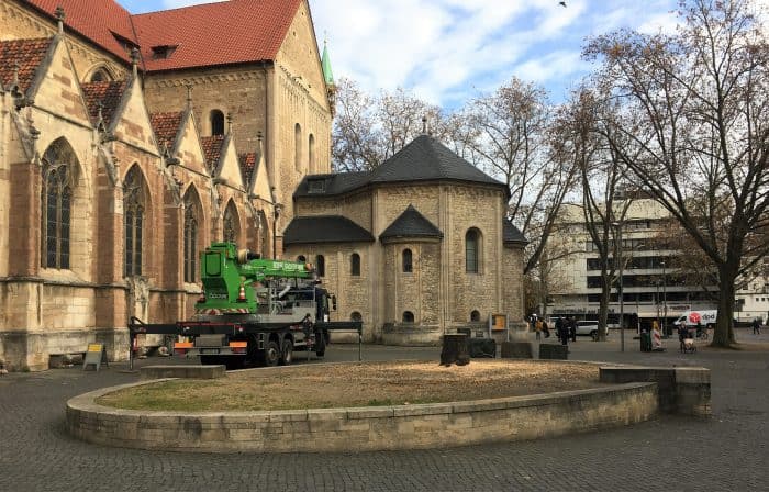 Ungewohnter Anblick: Domplatz ohne „Heinrichslinde“. Foto: Der Löwe