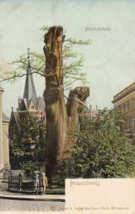 Alte Postkarte mit der ersten „Heinrichslinde” und dem um 1830 abgerissenen Stiftsgebäude. Foto: Archiv Ostwald