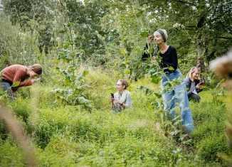 Auf der Suche nach Pflanzen und Tieren. Foto: LWL/Steinweg