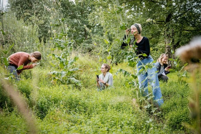 Auf der Suche nach Pflanzen und Tieren. Foto: LWL/Steinweg