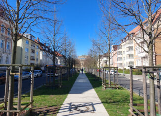 Auch bei der Neubepflanzung der Jasperallee stehen gespendete Bäume. Foto: Team Der Löwe
