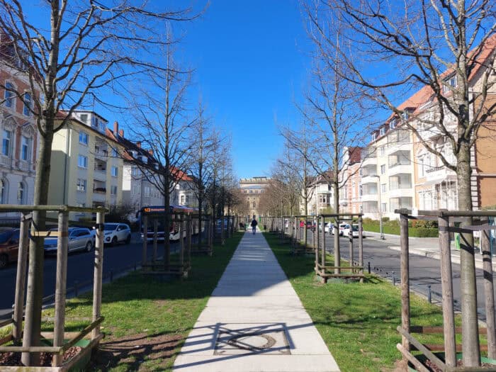 Auch bei der Neubepflanzung der Jasperallee stehen gespendete Bäume. Foto: Team Der Löwe