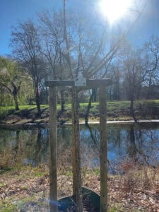 Frisch gepflanzt und mit Spenderplakette: Ein gespendeter Baum im Bürgerpark. Foto: Team Der Löwe.
