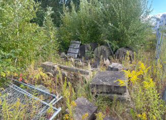 Lieblos beiseitegeschafft: Schlossfragmente in Querum. Foto: Löwe