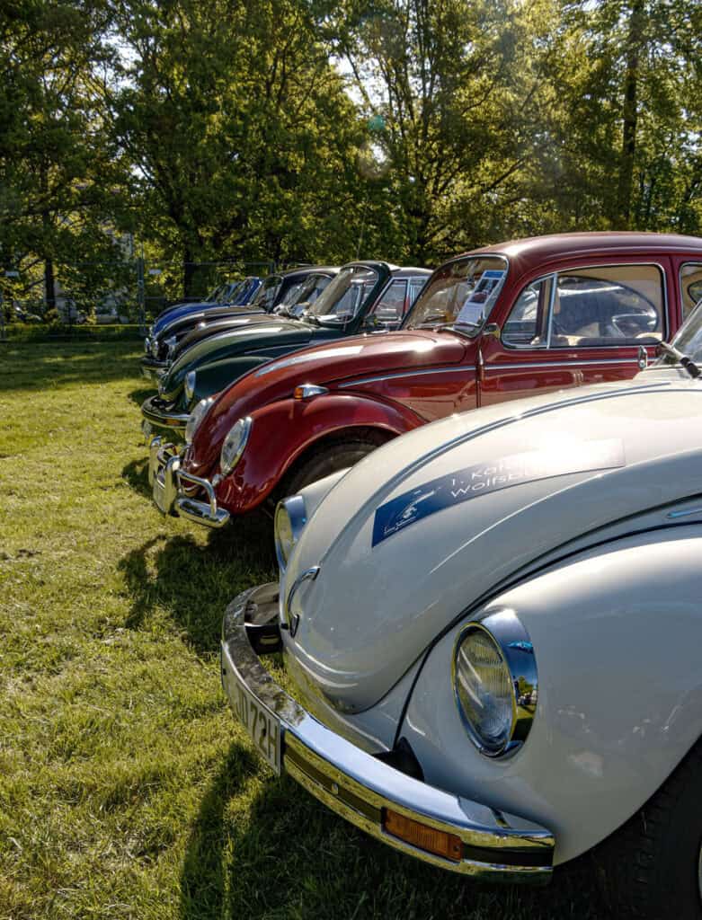 Gut vertreten: VW Käfer. Tatjana Schmidt