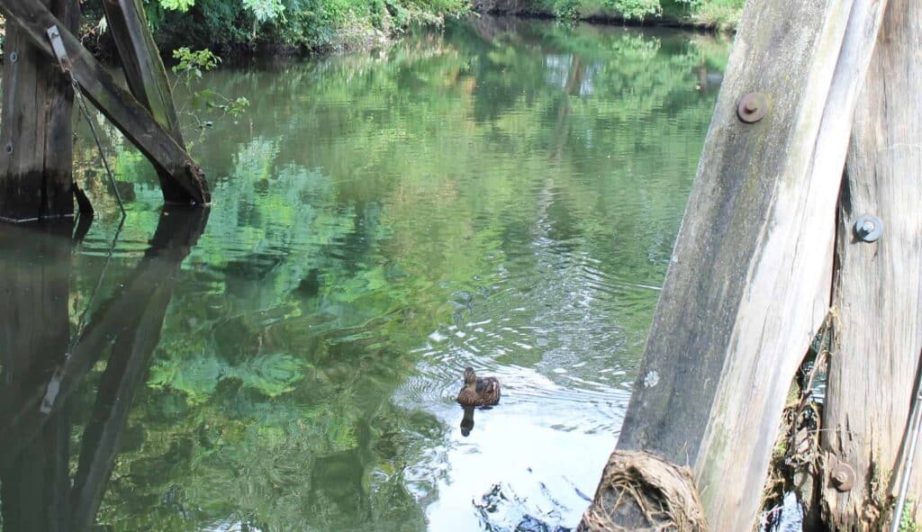 Die Okerumflutgräben haben den Flusslauf aus der Innenstadt verbannt. Foto: der Löwe