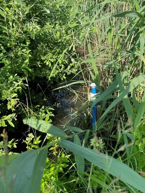 Der Pegelstand am Zufluss Weddeler Graben wird gemessen. Foto: der Löwe
