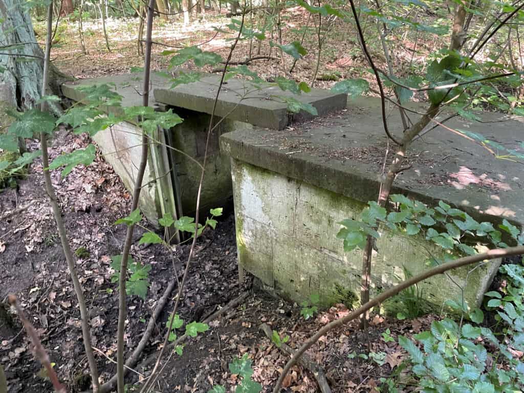 Viele Stauwehre stammen aus den 1950er Jahren und sind sanierungsbedürftig. Foto: der Löwe