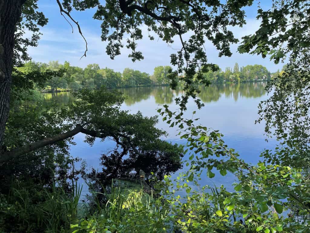 Wassermangel ist eine Gefahr für die Riddagshäuser Teiche