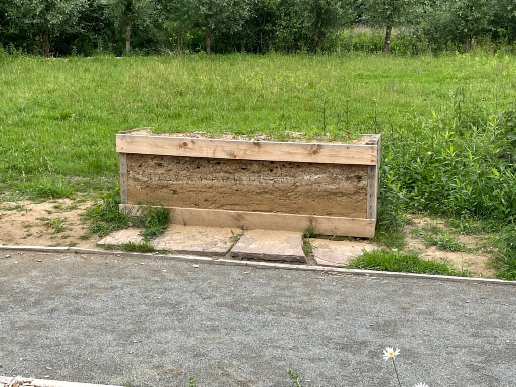 Die Lehmwand soll bodennistende Arten nutzen. Foto: der Löwe