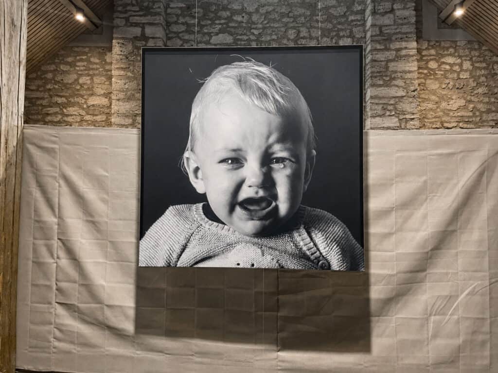 Der Eingang in den Ausstellungsbereich „Schmerz“. Foto: der Löwe