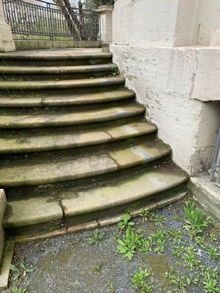 Kein schöner Anblick: Unkraut und Grünbelag auf den Treppen. Foto: privat